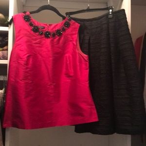 Holiday dressy skirt and top!